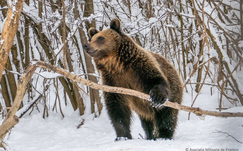 Titelbild zu Angebot 310