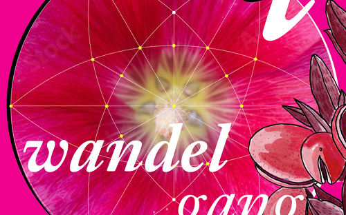 Titelbild zu Angebot 110