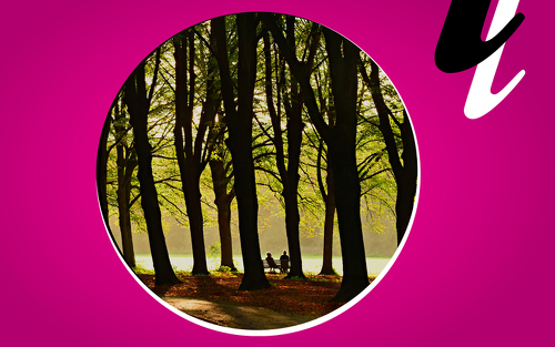 Titelbild zu Angebot 79