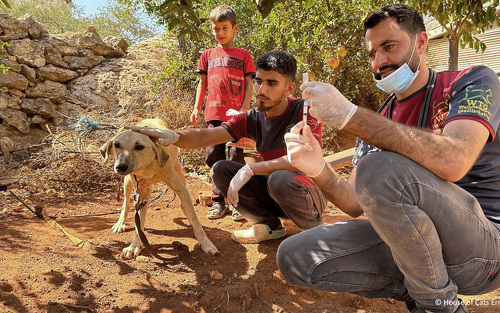 Titelbild zu Angebot 90