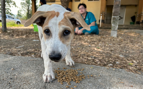 Titelbild zu Angebot 91