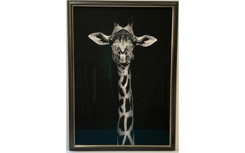 Titelbild zu Angebot 169