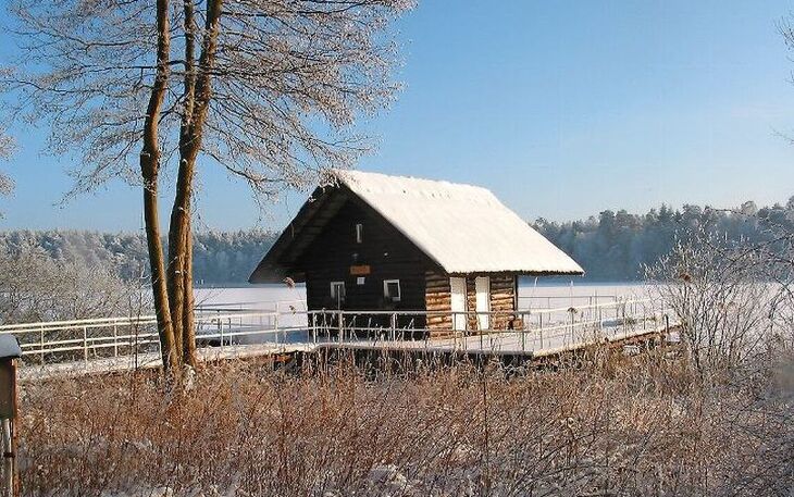 Bild 11